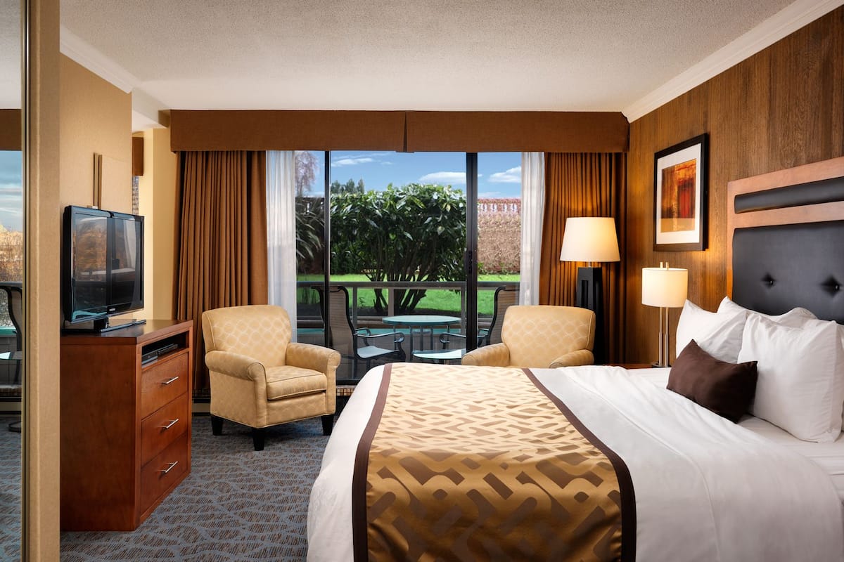 A hotel room with a bed, a TV, a desk, and a chair. There is a window with a view of greenery outside.