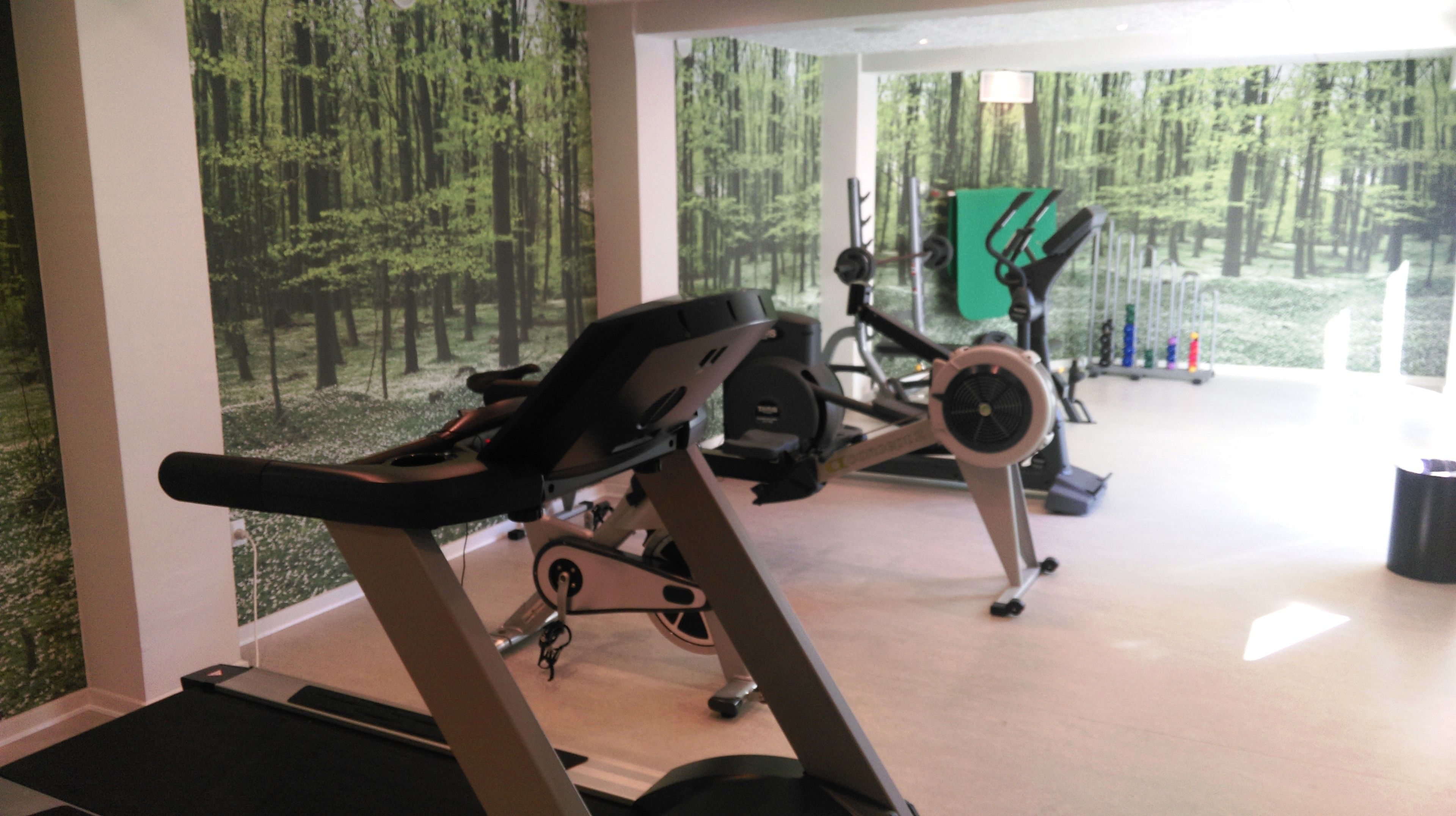 Un gimnasio con equipamiento de ejercicio, incluyendo cintas de correr y bicicletas estáticas, y un amplio ventanal con un mural de un bosque.