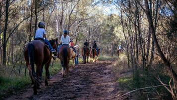 A group of people horseback riding on a dirt path surrounded by trees.