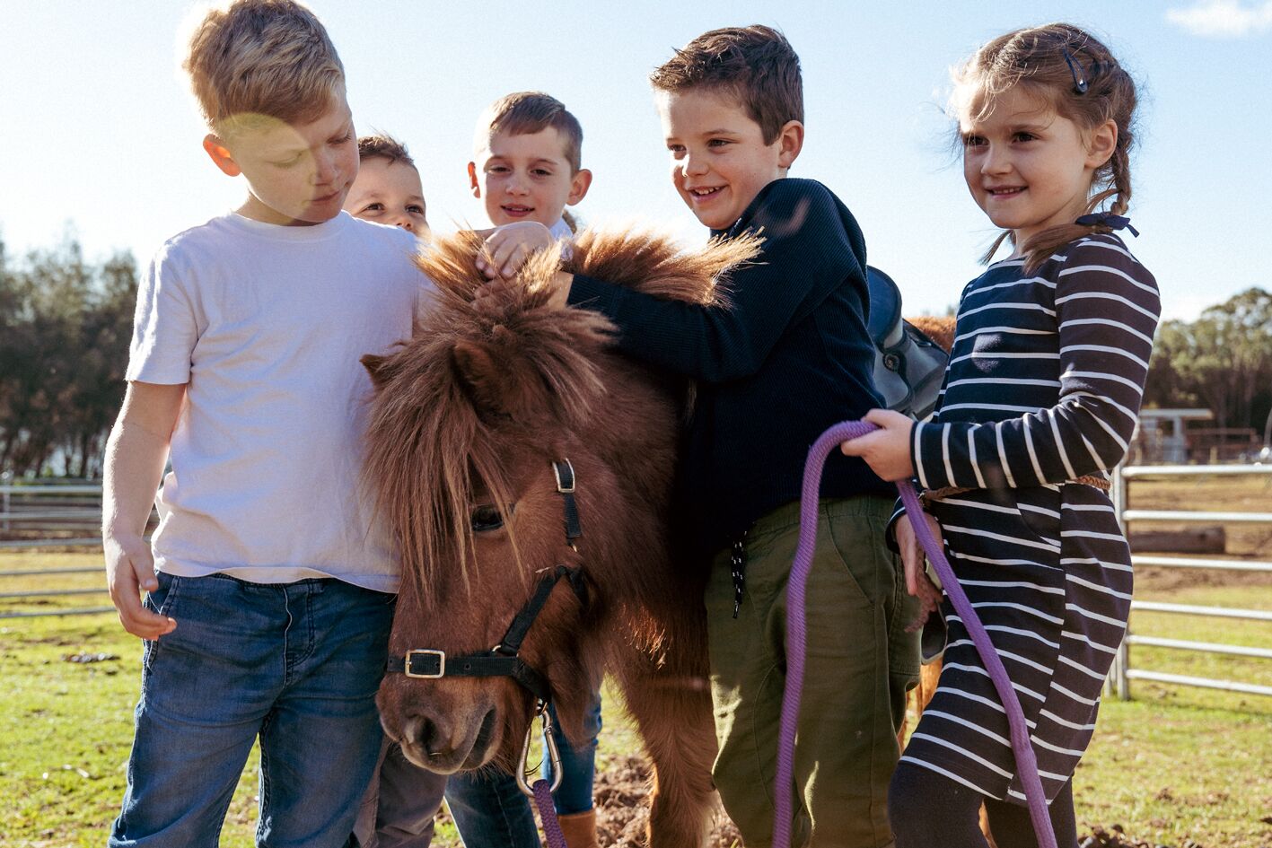 Un grupo de niños interactuando con un pony marrón pequeño en un entorno al aire libre.