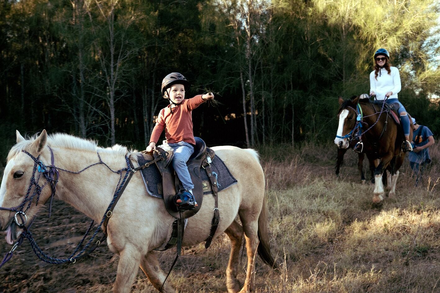 A person riding a horse in a forested area.