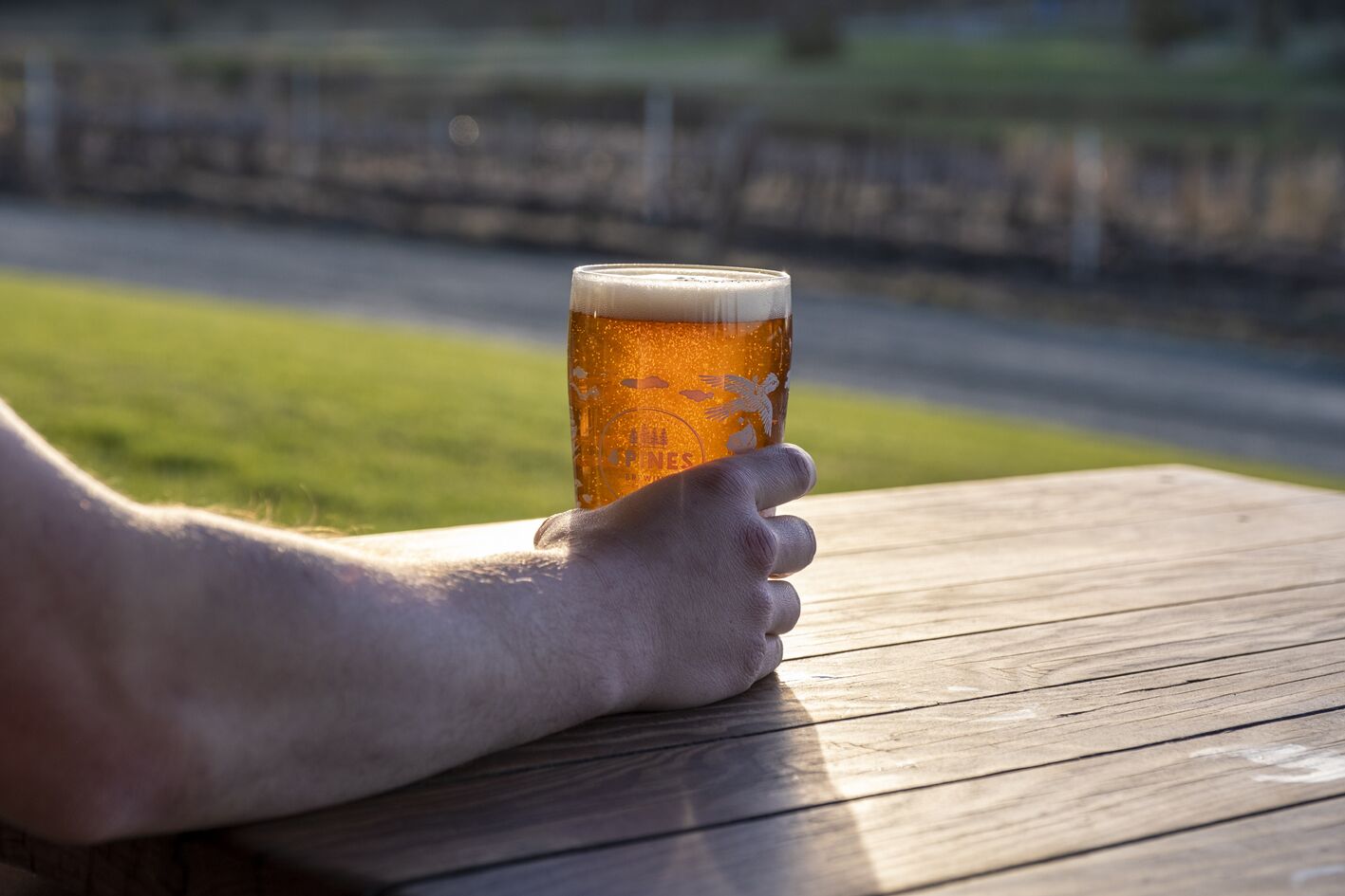 Una mano sostiene una jarra de cerveza sobre una mesa de madera, con vistas a un espacio cubierto de césped y una cerca al fondo.