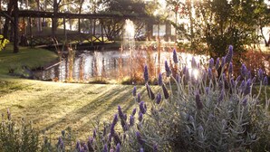 Un parque tranquilo con un estanque, plantas de lavanda y un puente de madera.