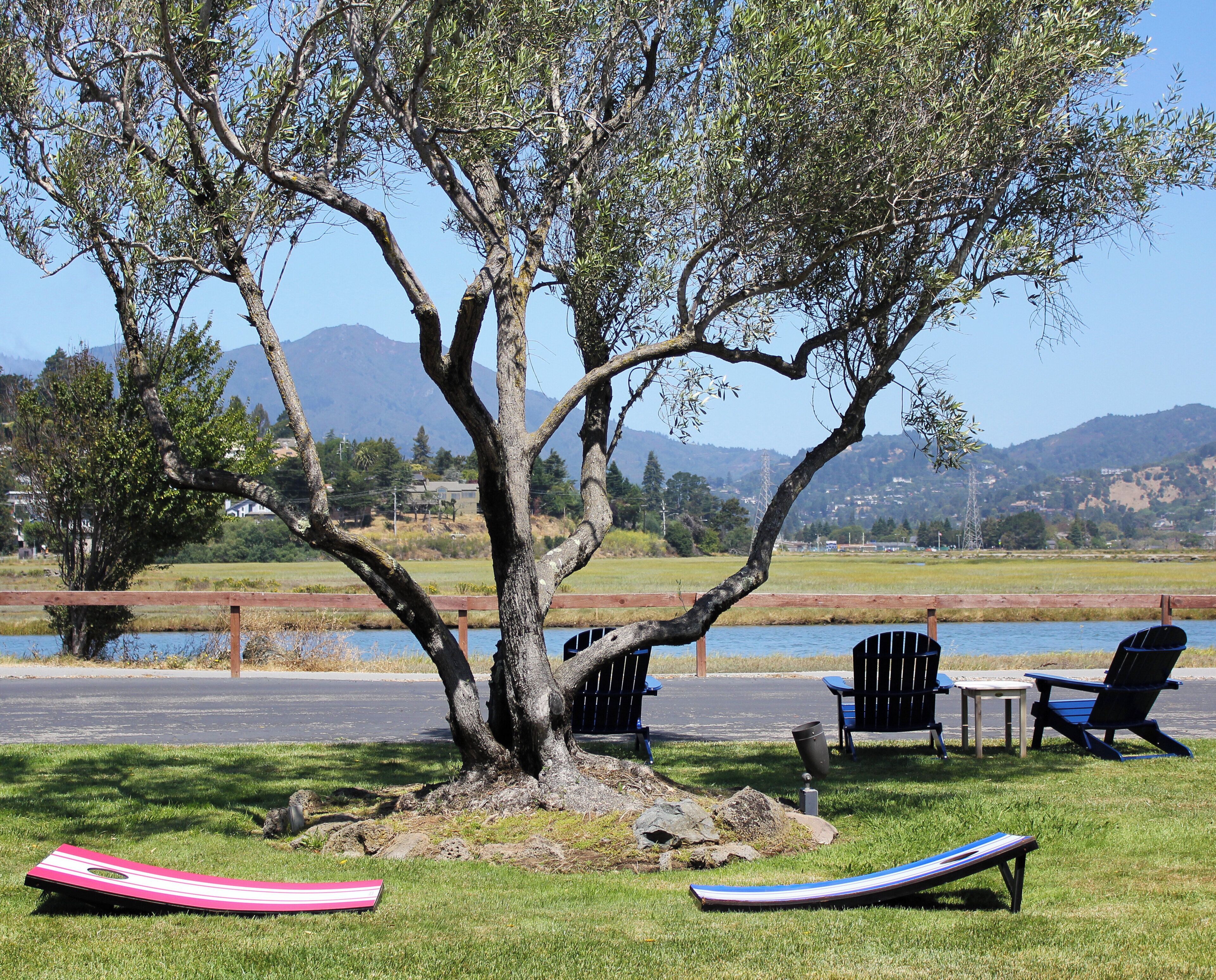 A tree with a bench and a table under it, a body of water, and mountains in the background.