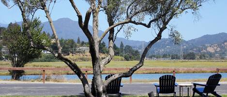 A tree with a bench and a table under it, a body of water, and mountains in the background.