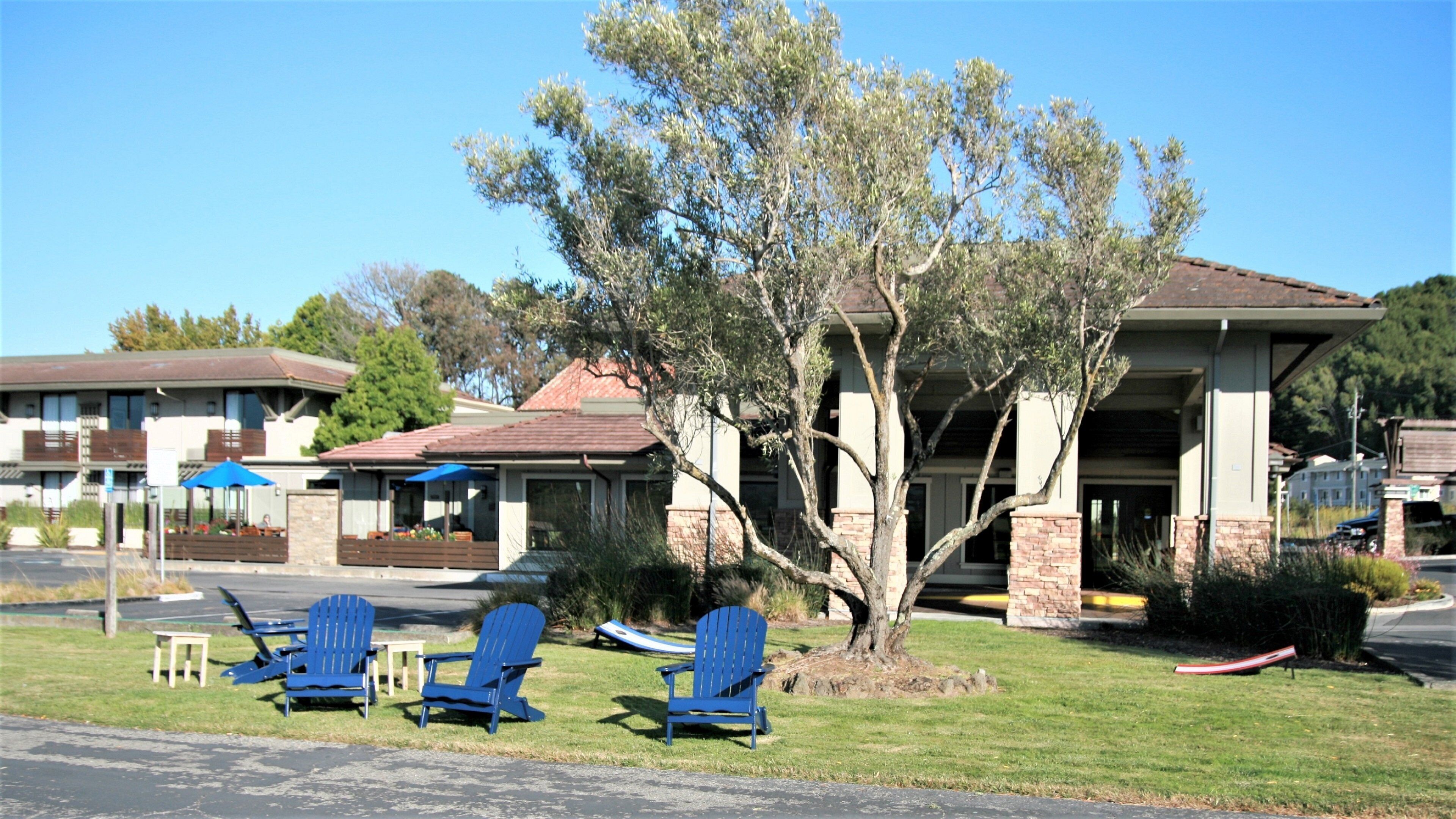 A hotel with a covered patio, outdoor seating, and a large tree in the foreground.