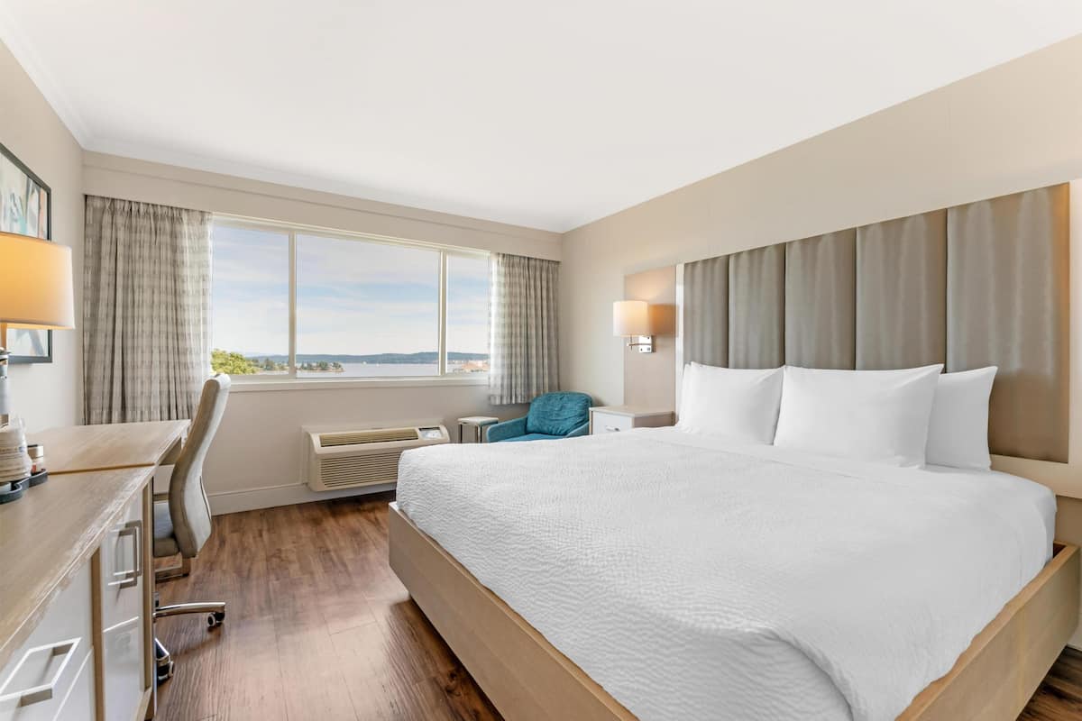 Standard Room, 1 King Bed, Refrigerator, Harbour View
