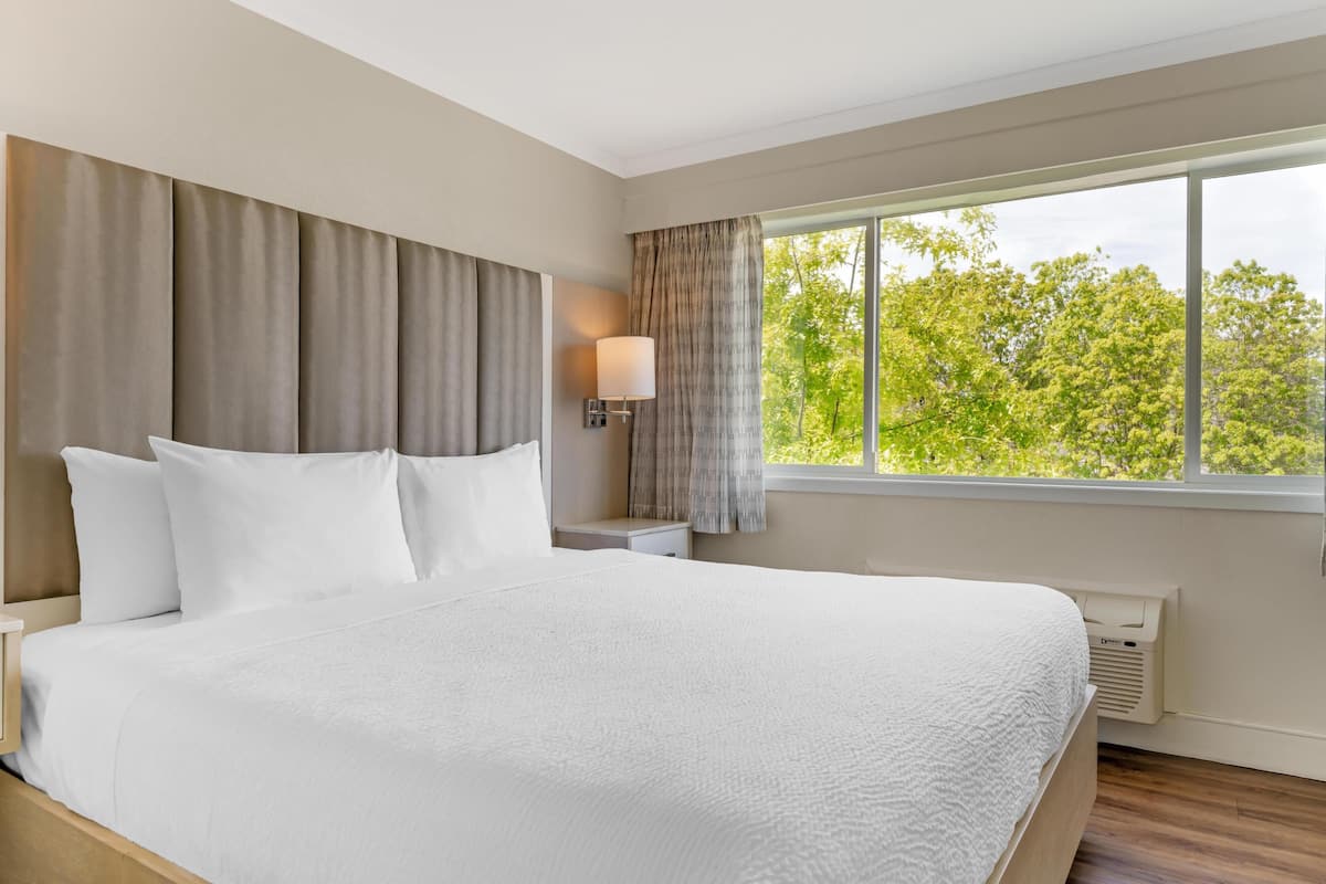 Ein Hotelzimmer mit einem großen Bett, einem Nachttisch, einer Lampe und einem Fenster mit Blick auf Bäume.