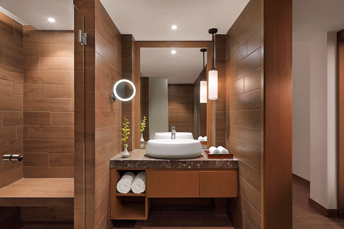 shower, rainfall showerhead, free toiletries, hair dryer