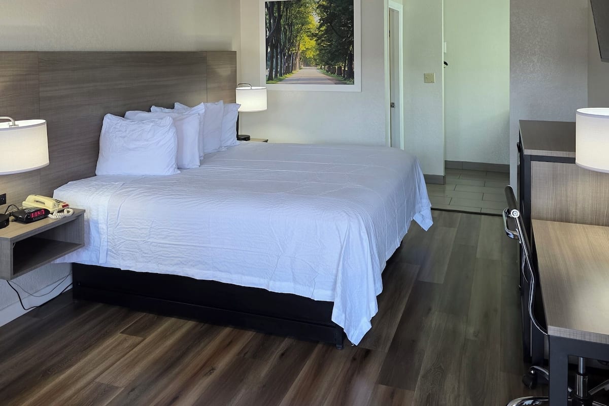 Standard Room, 1 King Bed | Pillow-top beds, desk, blackout curtains, iron/ironing board