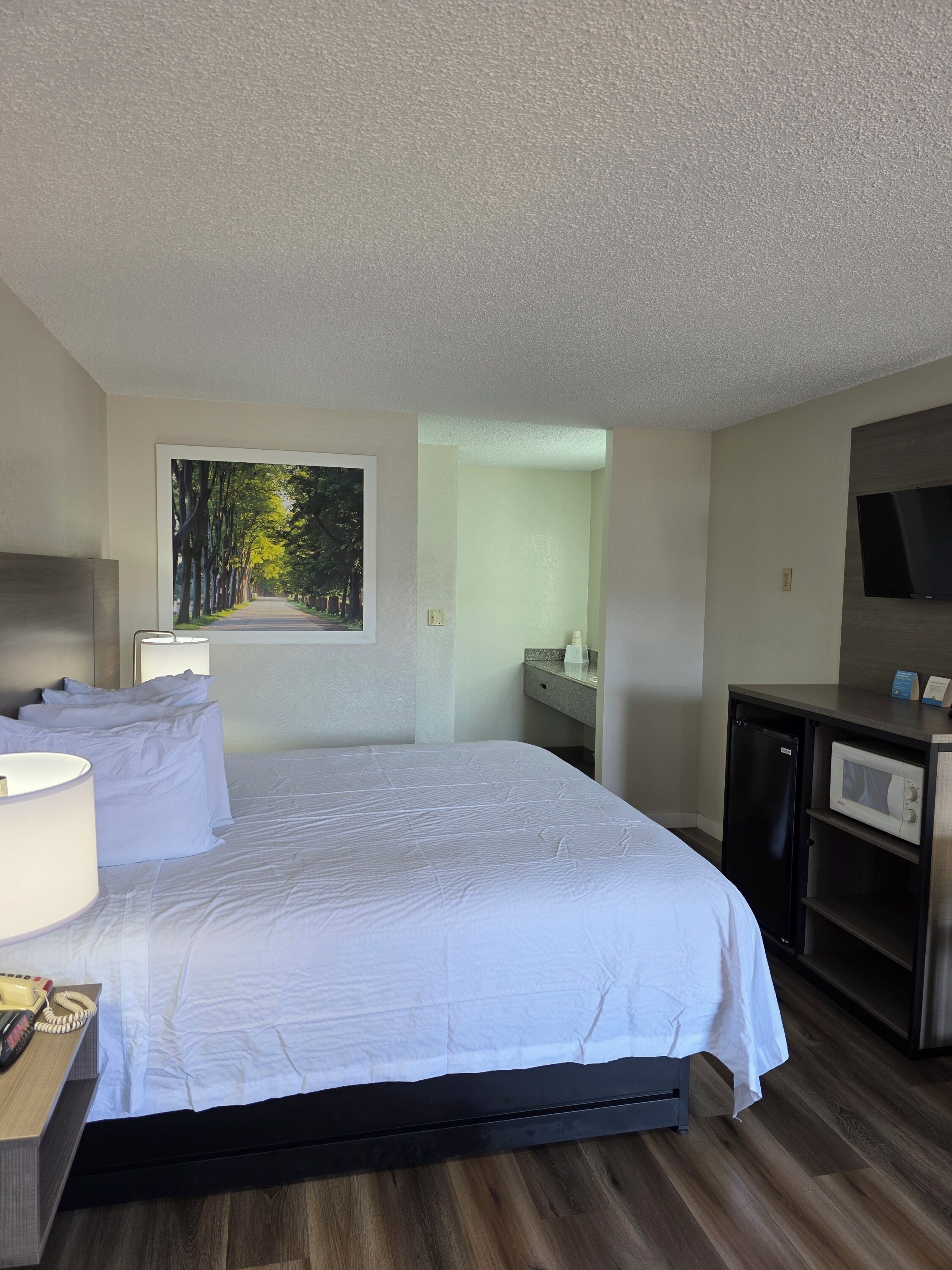 A hotel room with a bed, bedside lamps, a desk with a telephone, a microwave, and a TV on a cabinet.