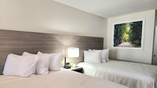 A hotel room with two beds, a nightstand with a lamp, a phone, and a painting of a forest on the wall. - Days Inn by Wyndham San Marcos (San Marcos)