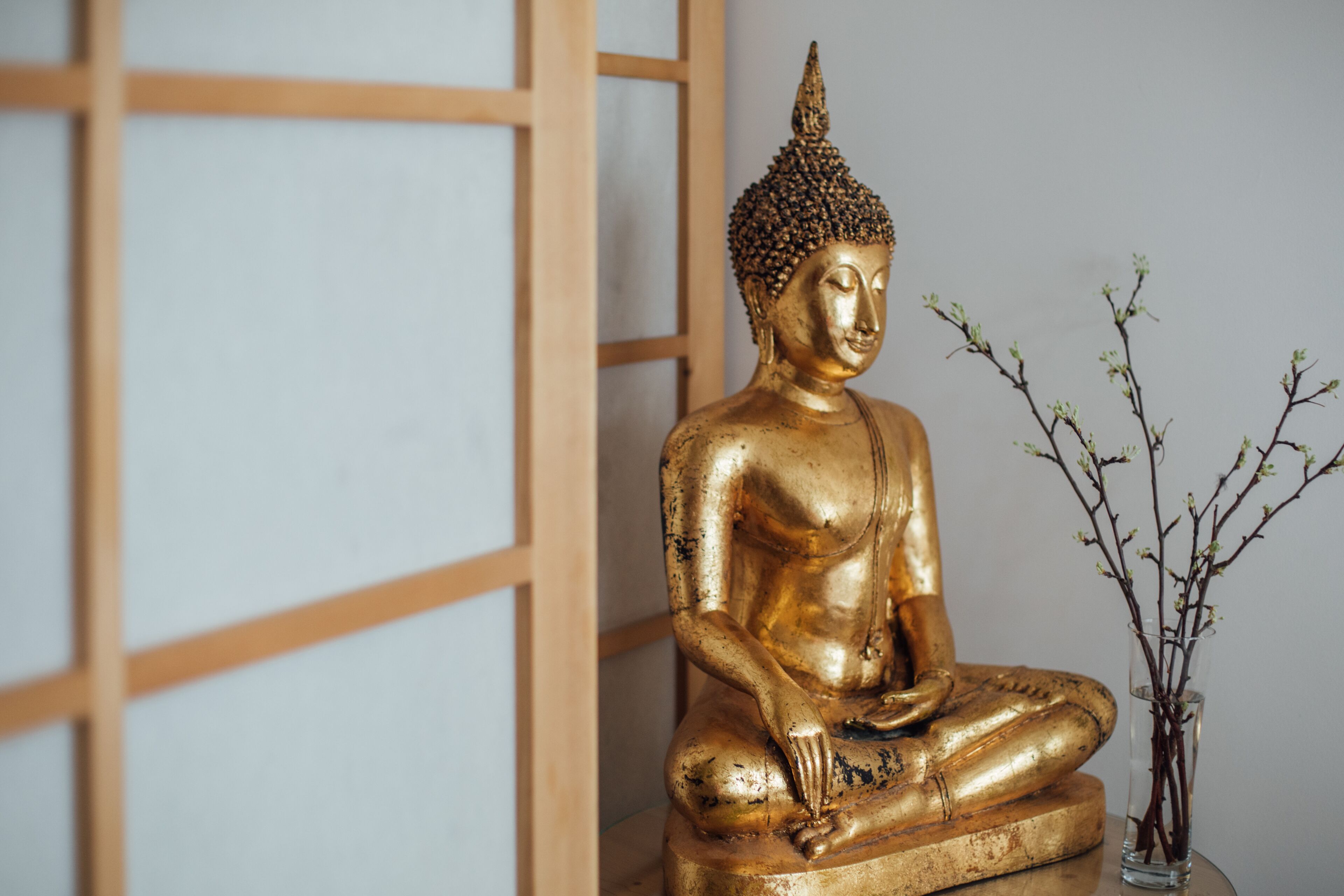 thai massages, massage/treatment rooms