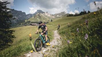 A mountain biking trail with a cyclist in the foreground and a mountain backdrop.