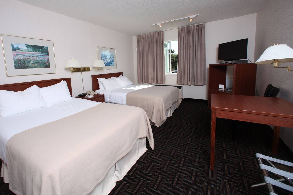 A hotel room with two beds, a desk with a chair, a television, and two paintings on the wall.