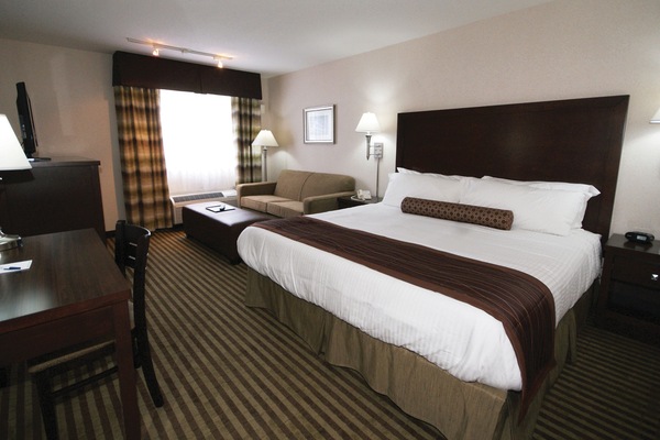 Executive Room | Blackout drapes, iron/ironing board, free WiFi, bed sheets