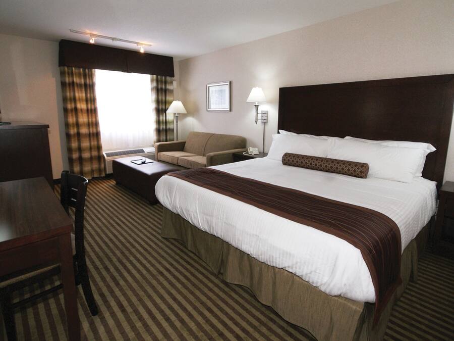 Executive Room | Blackout drapes, iron/ironing board, free WiFi, bed sheets