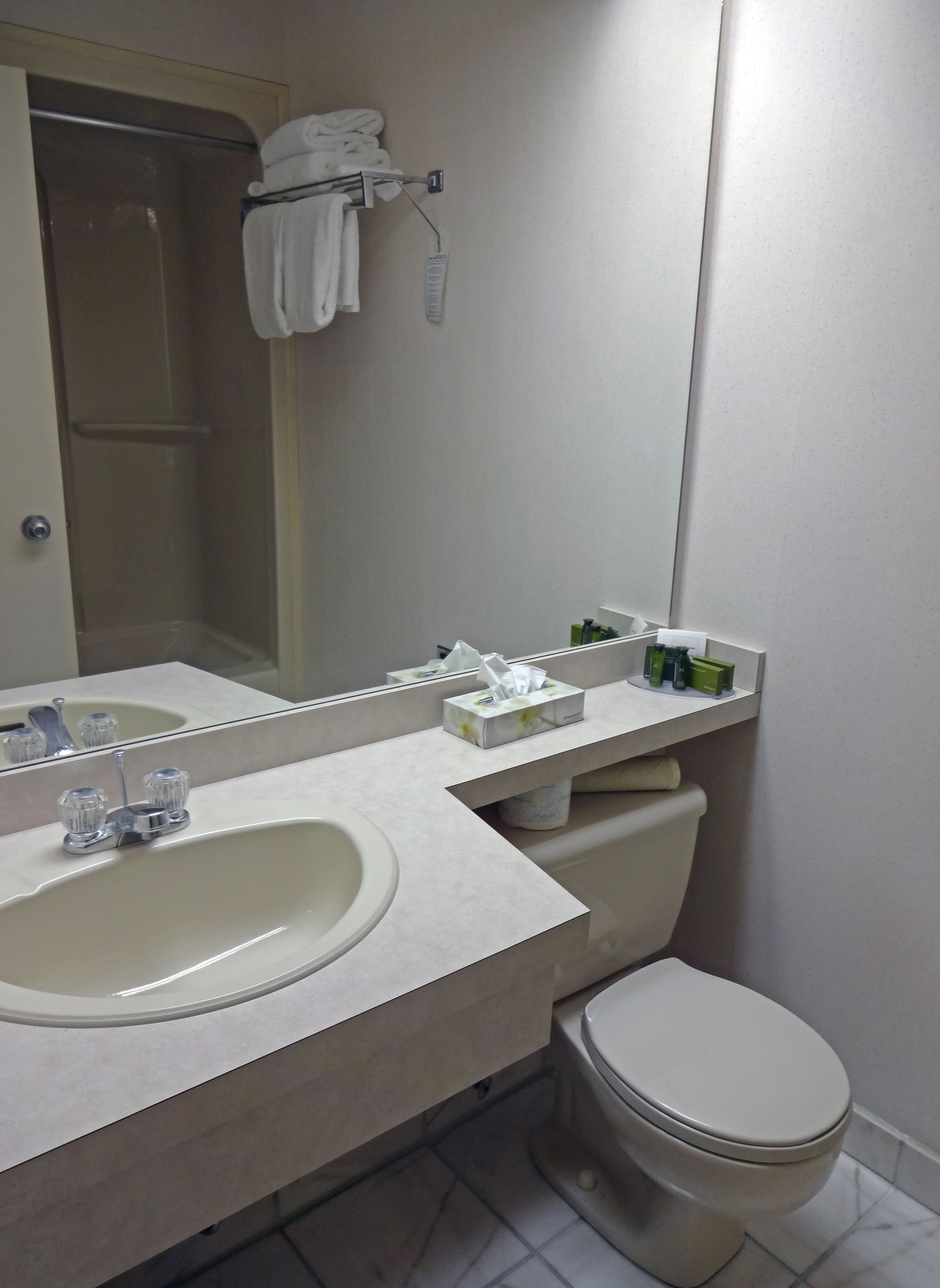 combined shower/bathtub, free toiletries, hair dryer, towels