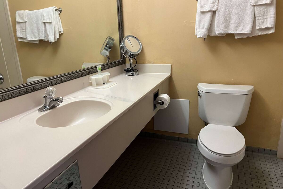 combined shower/bathtub, free toiletries, hair dryer, towels