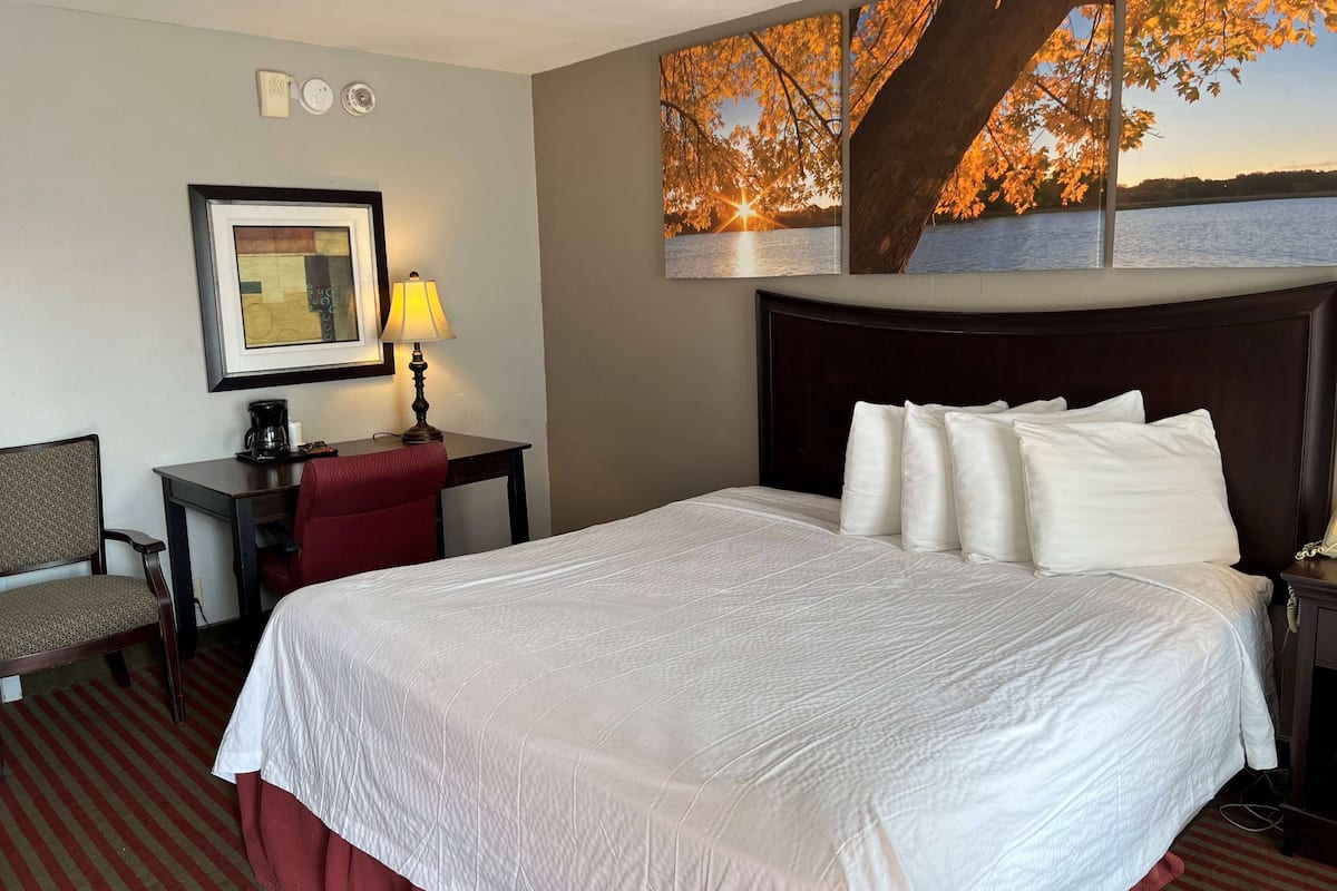 room, 1 king bed, mobility accessible, non smoking (roll-in shower, exterior) | desk, iron/ironing board, free cots/infant beds, free wifi