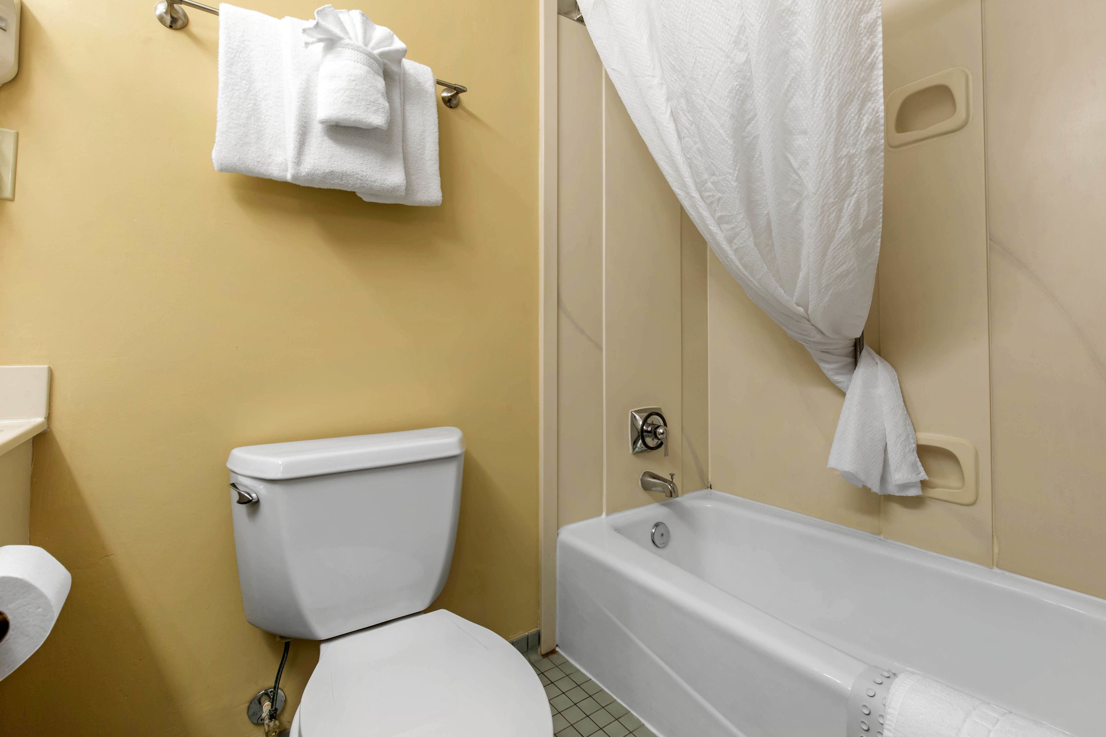 combined shower/bathtub, free toiletries, hair dryer, towels