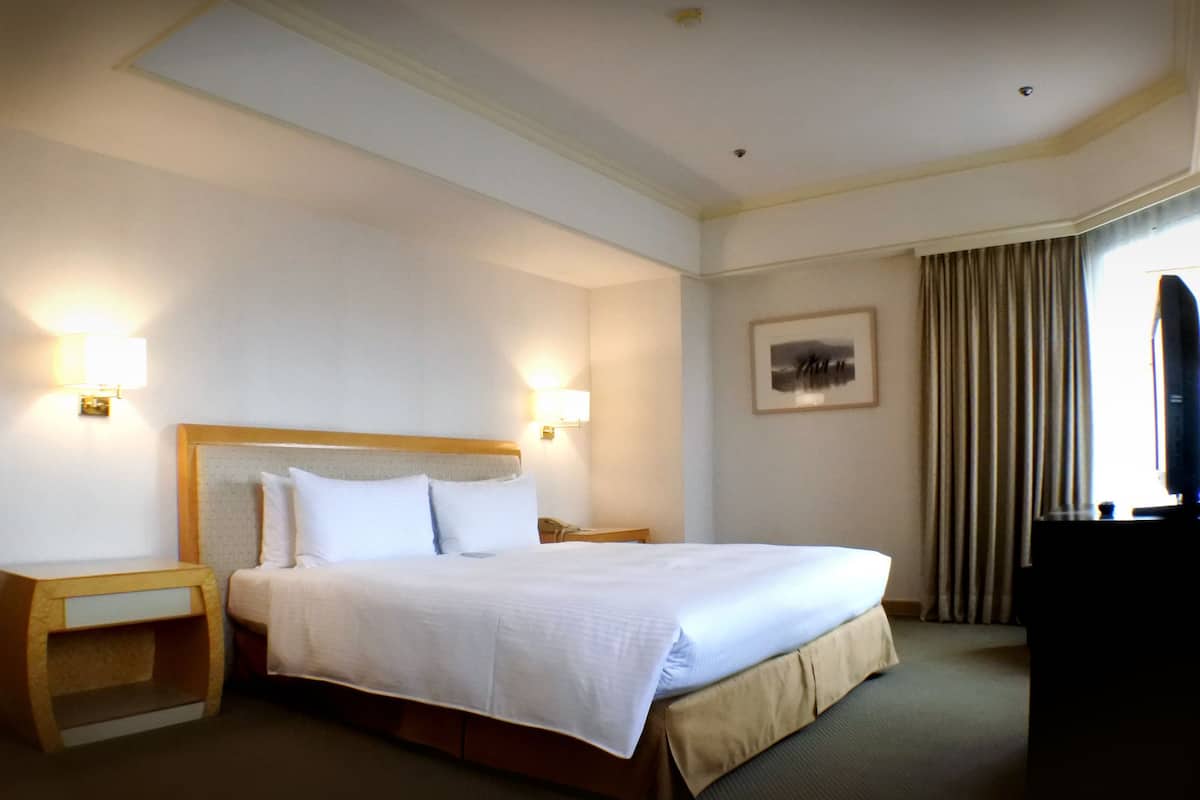 Executive Suite | View from room