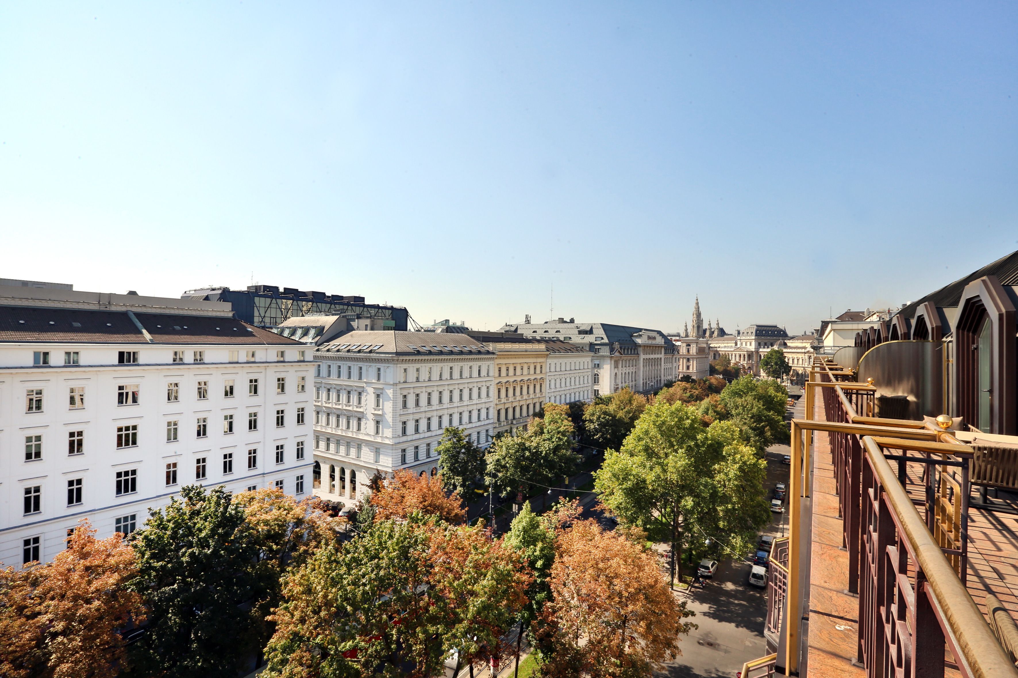 Eine Stadtansicht mit historischen Gebäuden, einer Brücke und Herbstlaub.