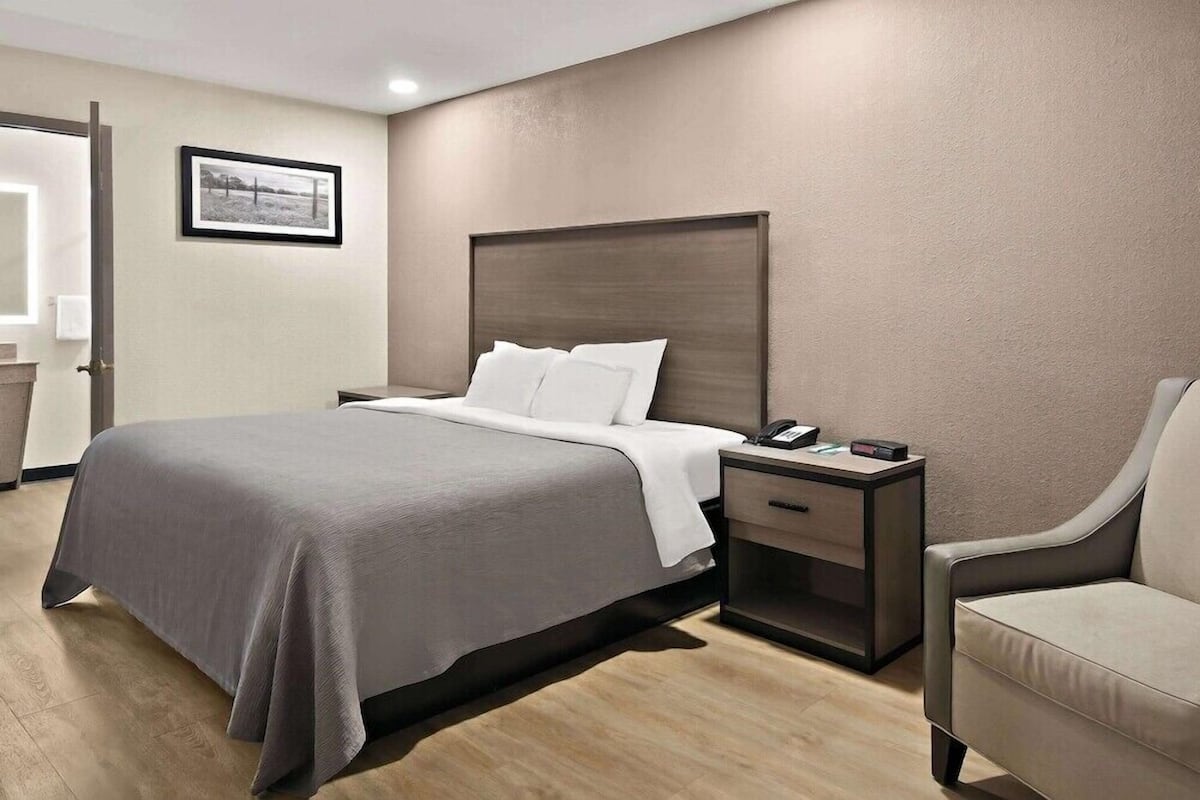 A hotel room with a bed, bedside table, chair, and a framed picture on the wall.