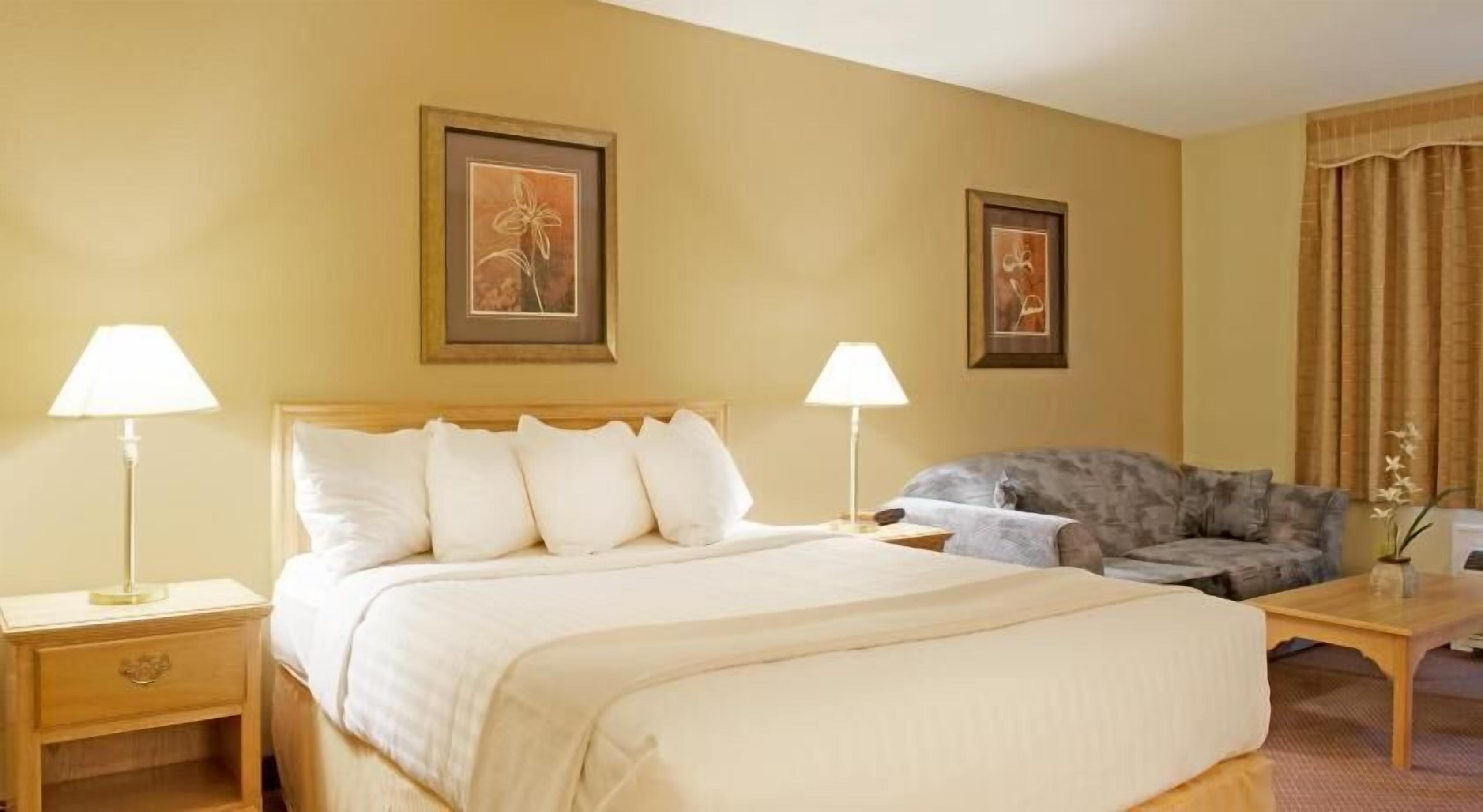 Tilam berlapik, meja, seterika/papan seterika, Wi-fi percuma 