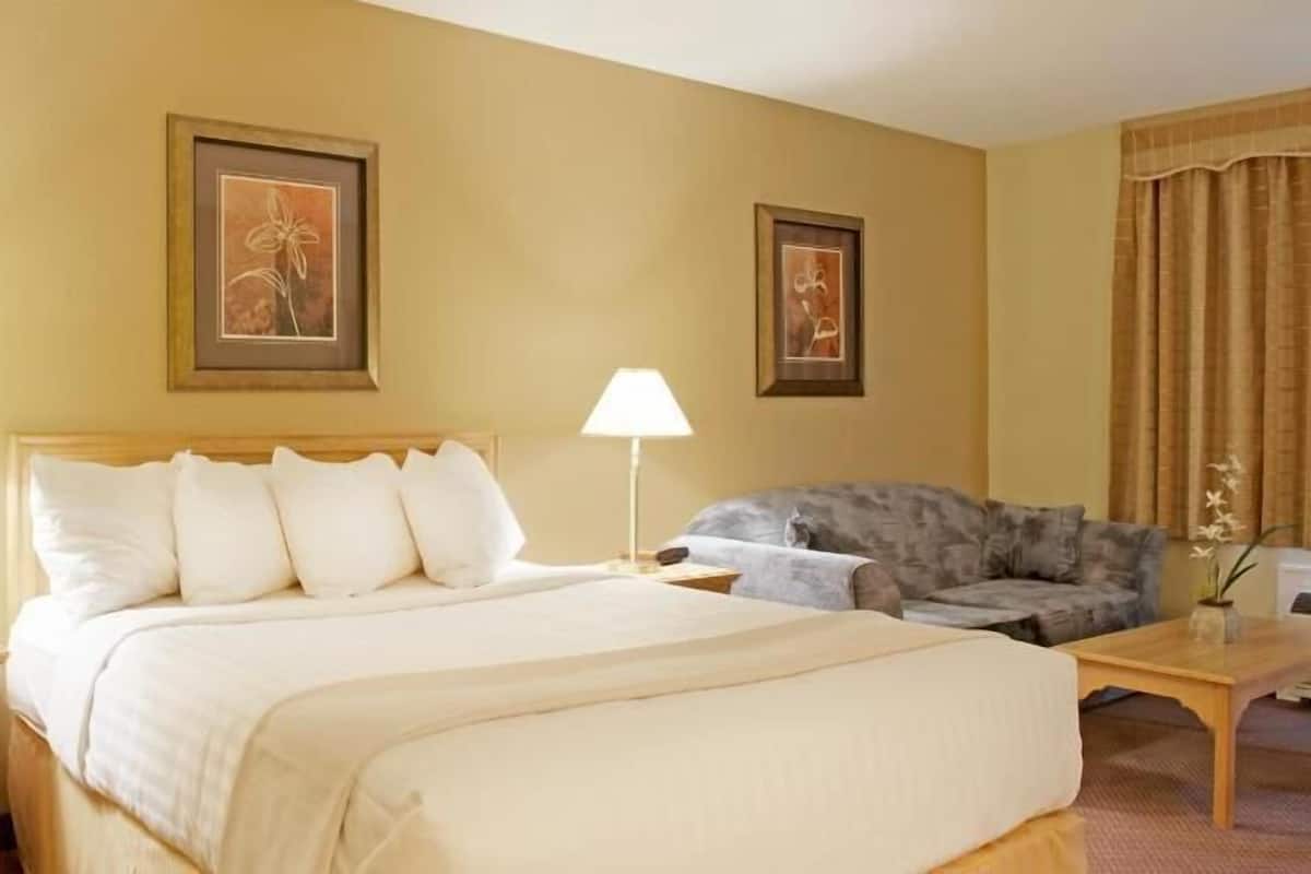 Una habitación de hotel con una cama, dos lámparas de noche, un sofá, una mesita y dos cuadros en la pared.