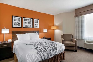 Desk, laptop workspace, soundproofing, iron/ironing board - Sleep Inn DeWitt - Lansing North (DeWitt)