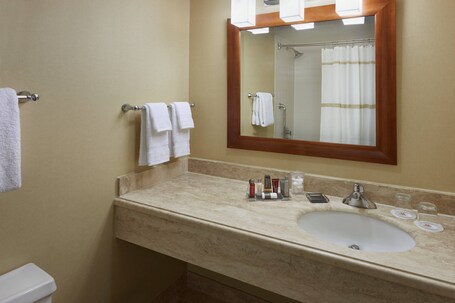 Toronto Airport Marriott Hotel - Image 41