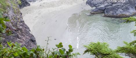 Un cadre naturel, avec une plage et un canoë, le tout entouré d’une forêt dense et d’un terrain rocheux.