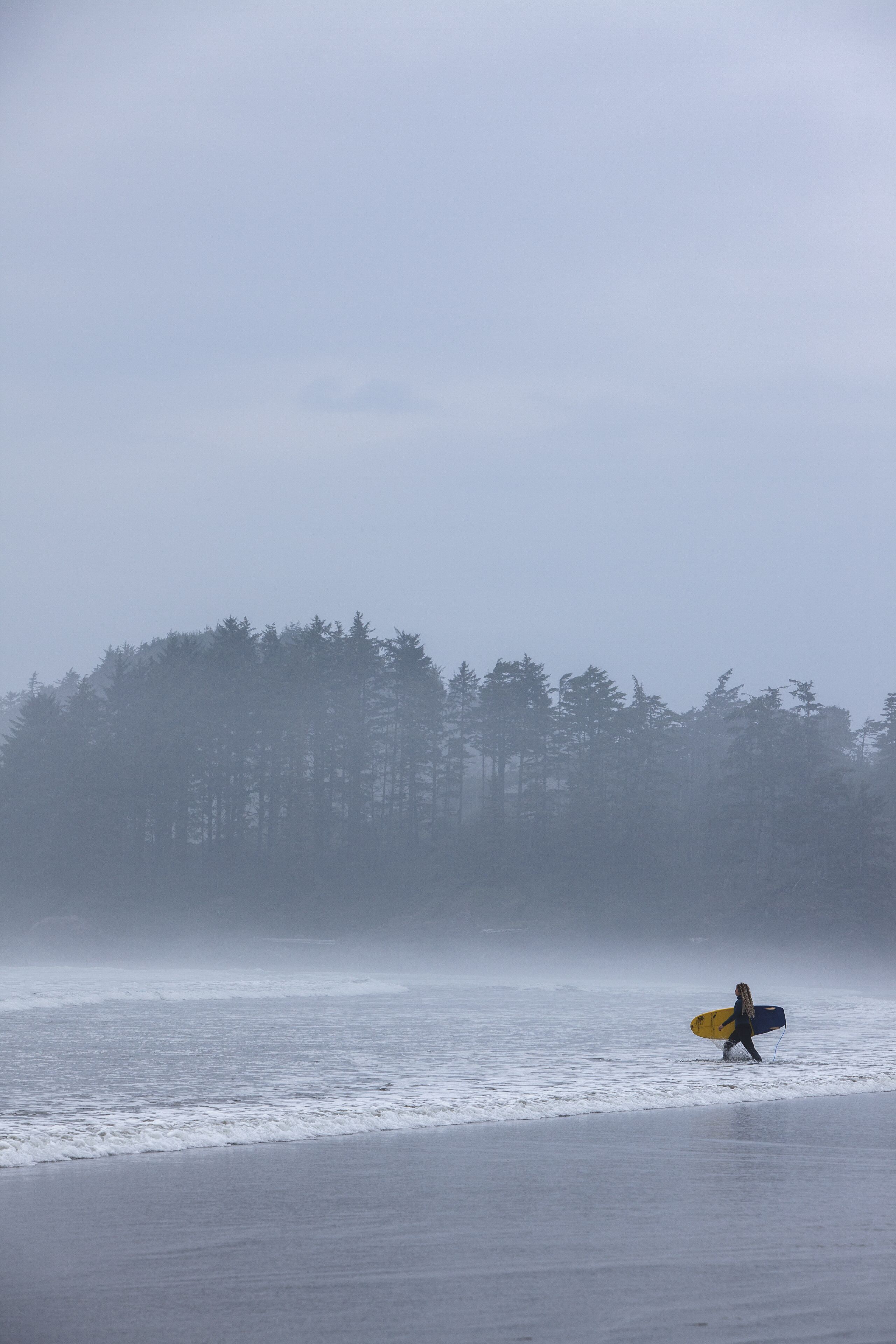 A person carrying a surfboard walking on a beach with a forest in the background.