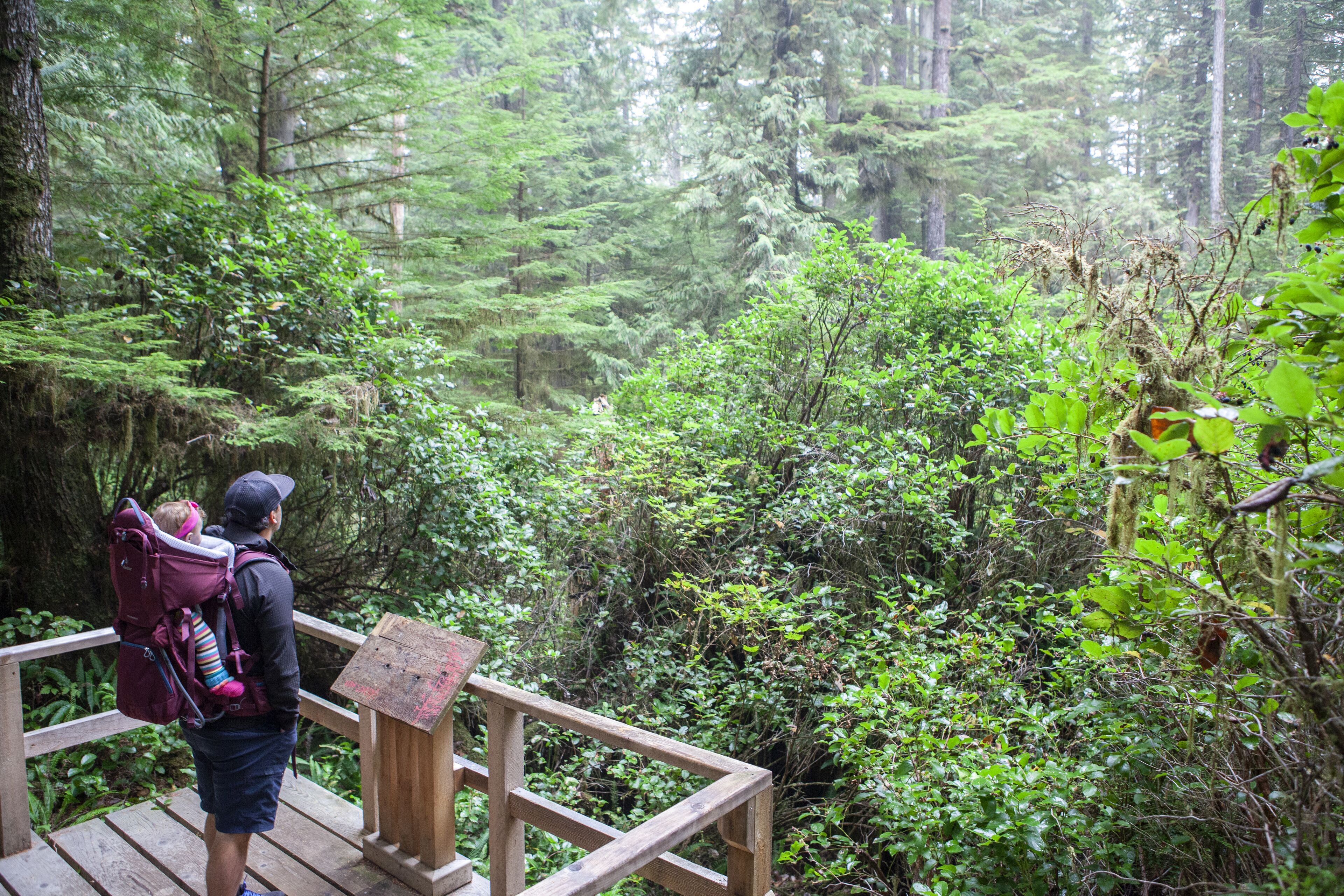 A person with a backpack and a child in a carrier on a wooden bridge in a forest.