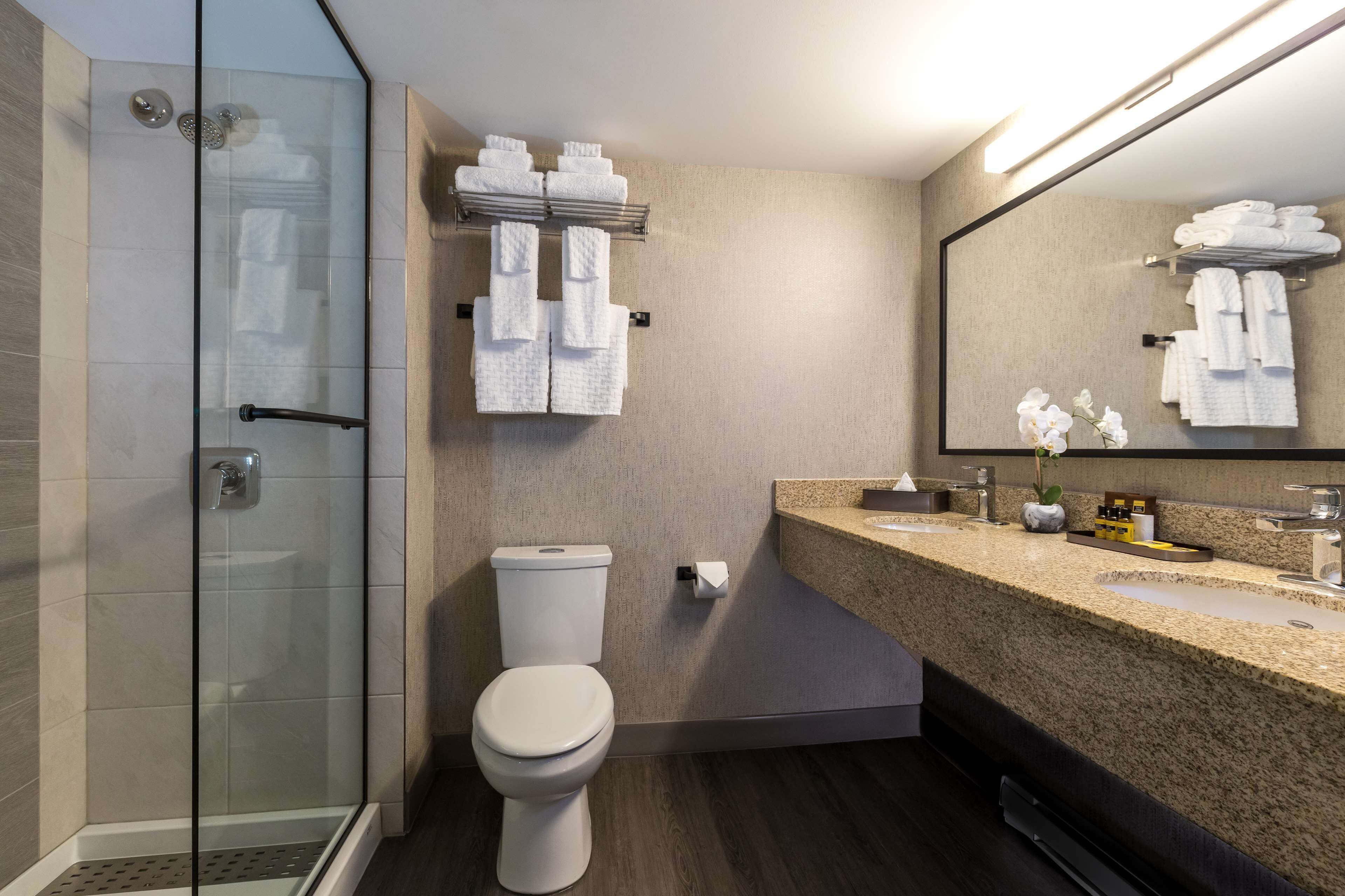 A modern bathroom with a glass shower enclosure, a toilet, a sink with a granite countertop, and a mirror.