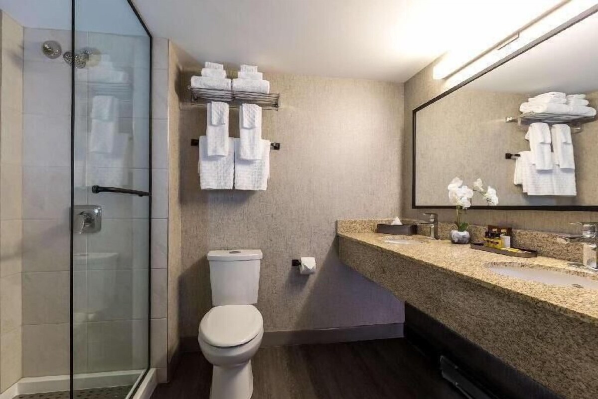 Un baño moderno con cabina de ducha de vidrio, inodoro, lavamanos con encimera de granito y un espejo grande.