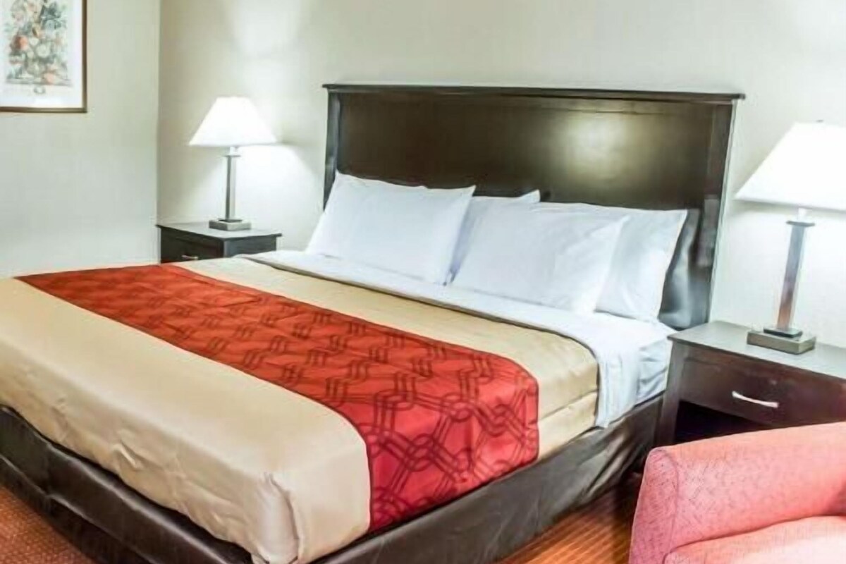 A hotel room with a bed, two bedside tables, and a lamp on each table.