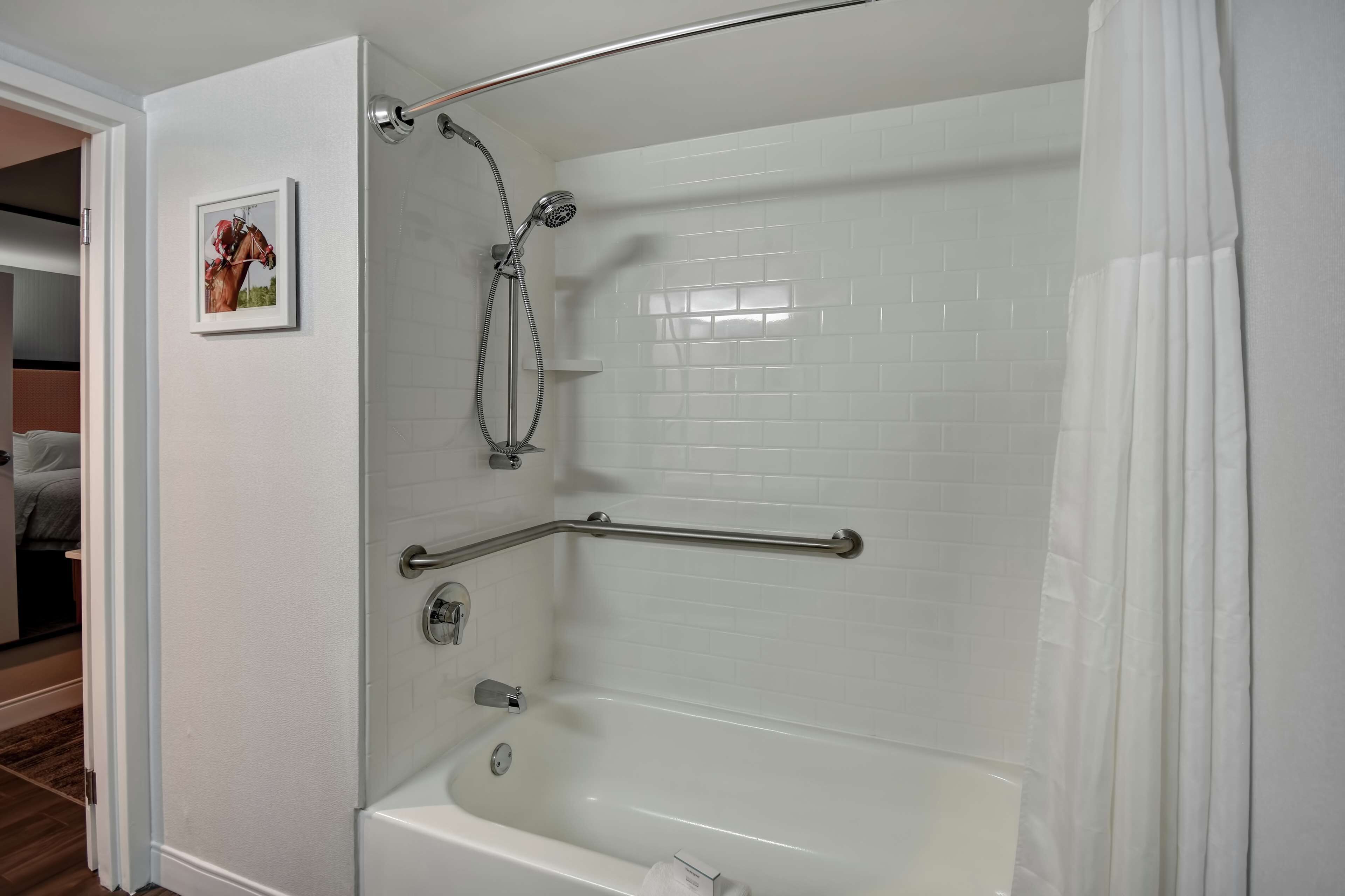 one queen bed, non-smoking, accessible | bathroom | combined shower/bathtub, free toiletries, hair dryer, towels