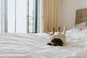 Aceita animais de estimação