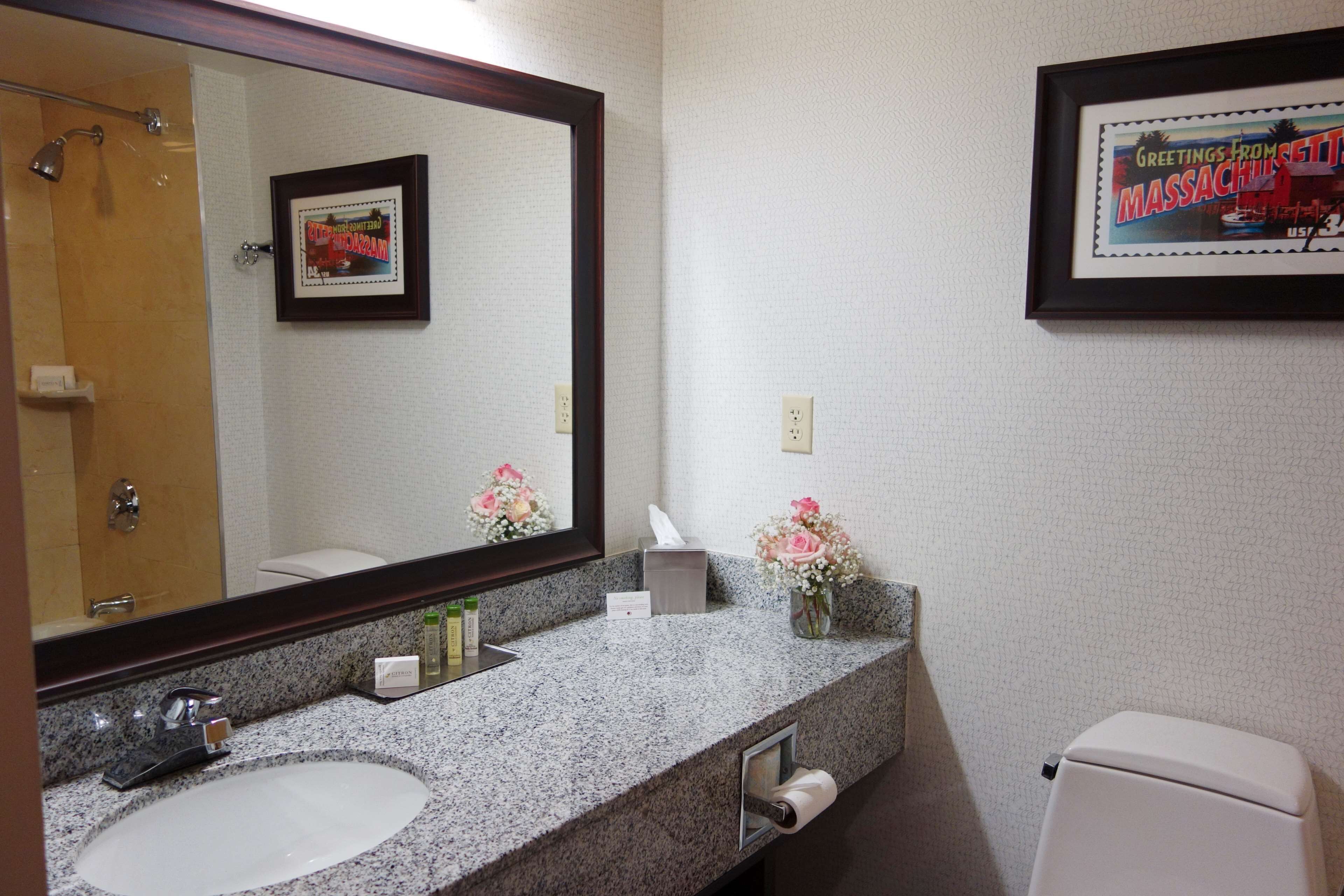 combined shower/bathtub, free toiletries, hair dryer, towels