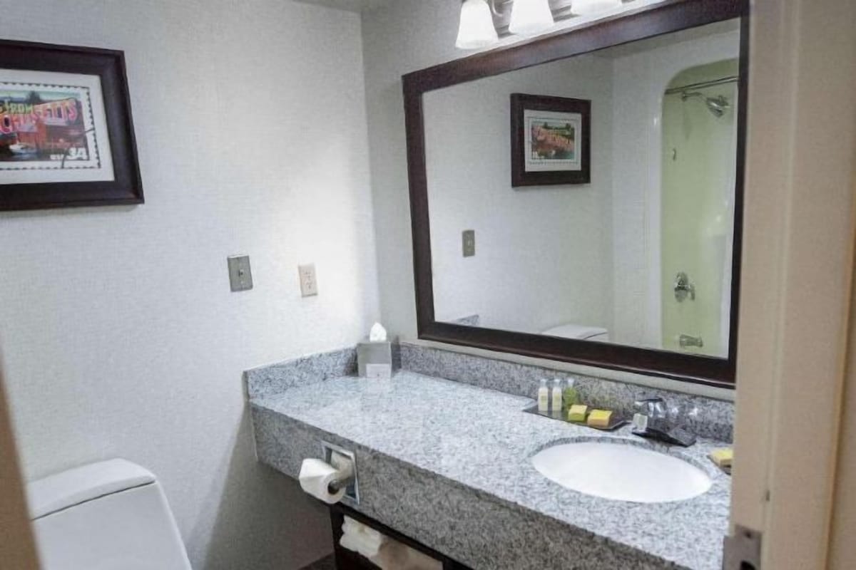 Un baño con lavamanos de encimera de granito, un espejo grande y un cuadro en la pared.