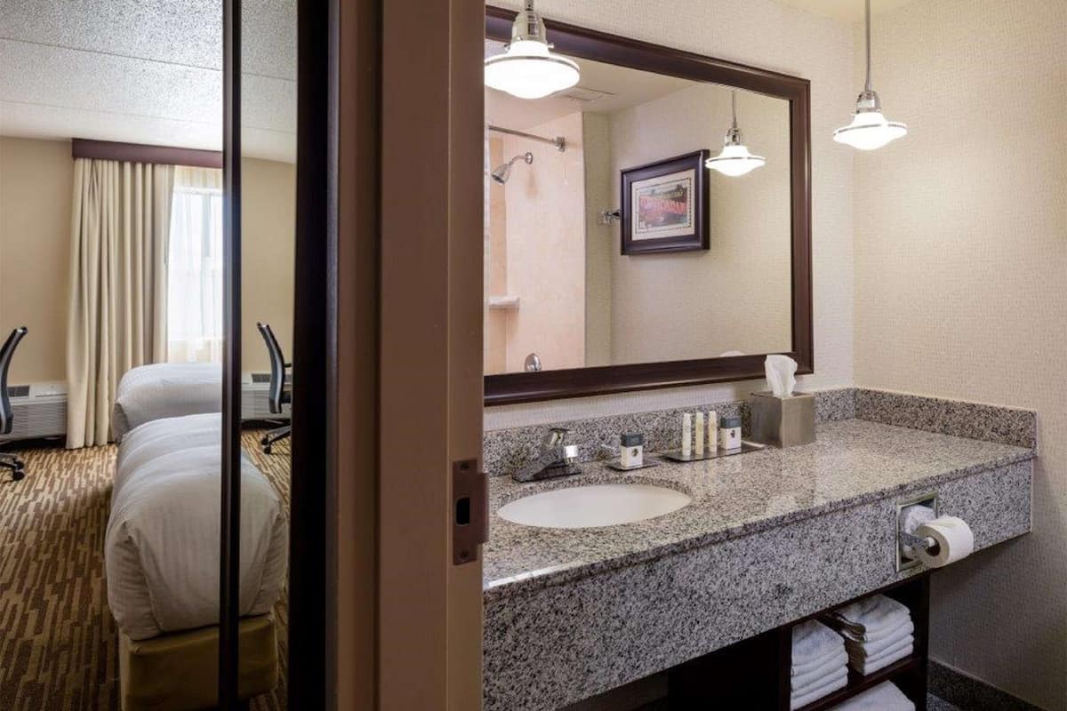 combined shower/bathtub, free toiletries, hair dryer, towels