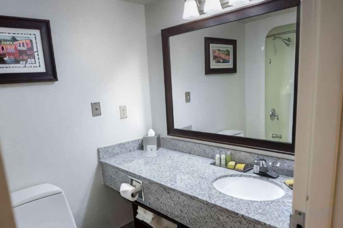 Junior King Suite with Sofa Bed