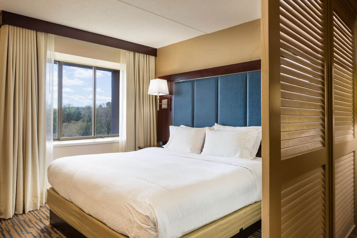 junior suite, 1 king bed | in-room safe, desk, laptop workspace, cots/infant beds