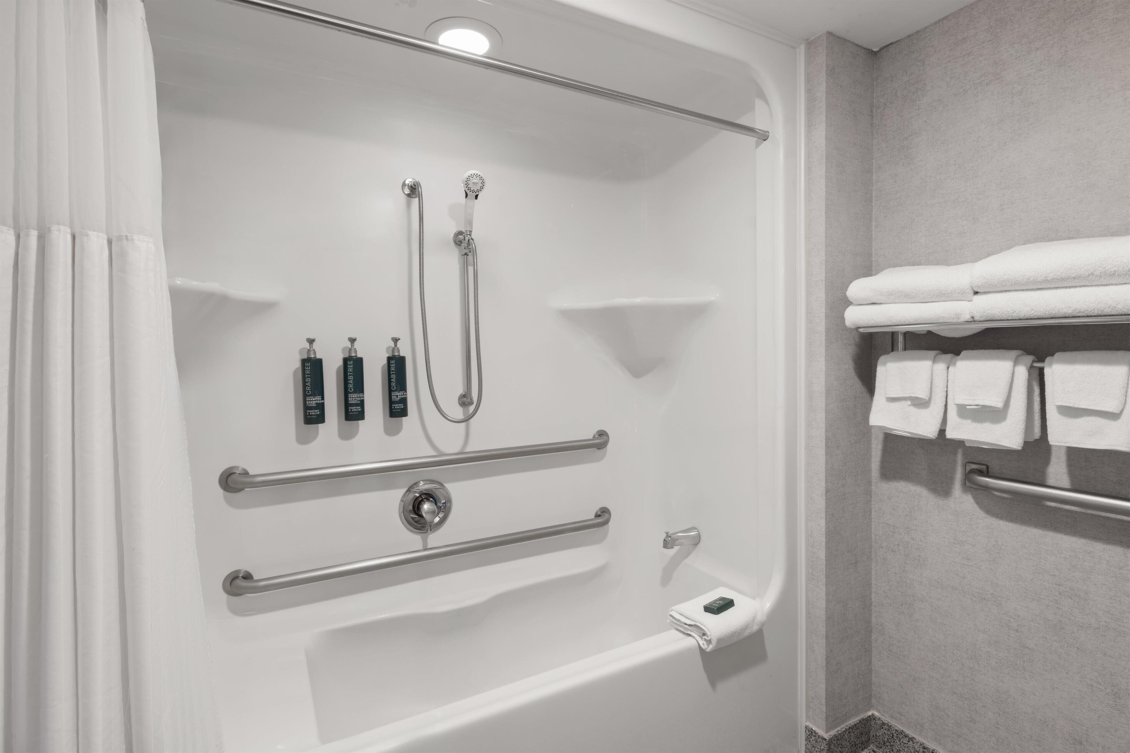 Room, 1 King Bed, Accessible, Bathtub | Bathroom shower