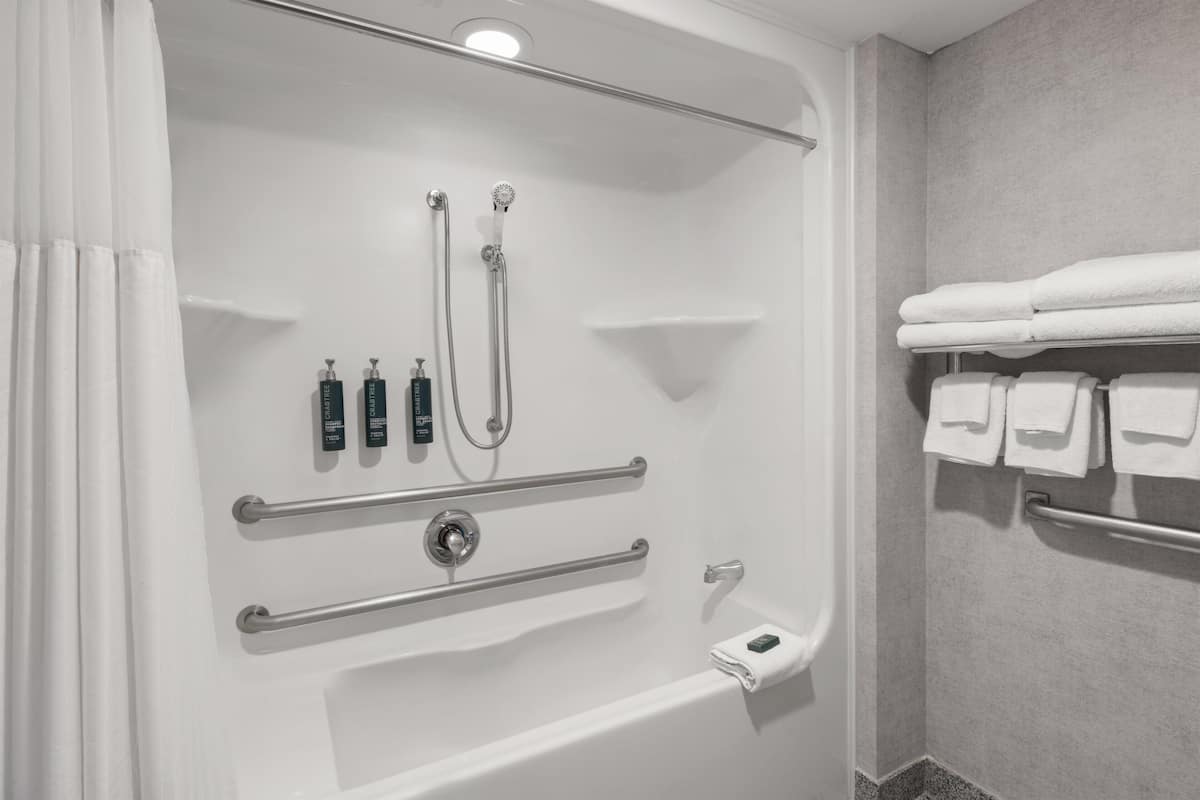 Room, 1 King Bed, Accessible, Bathtub | Bathroom shower