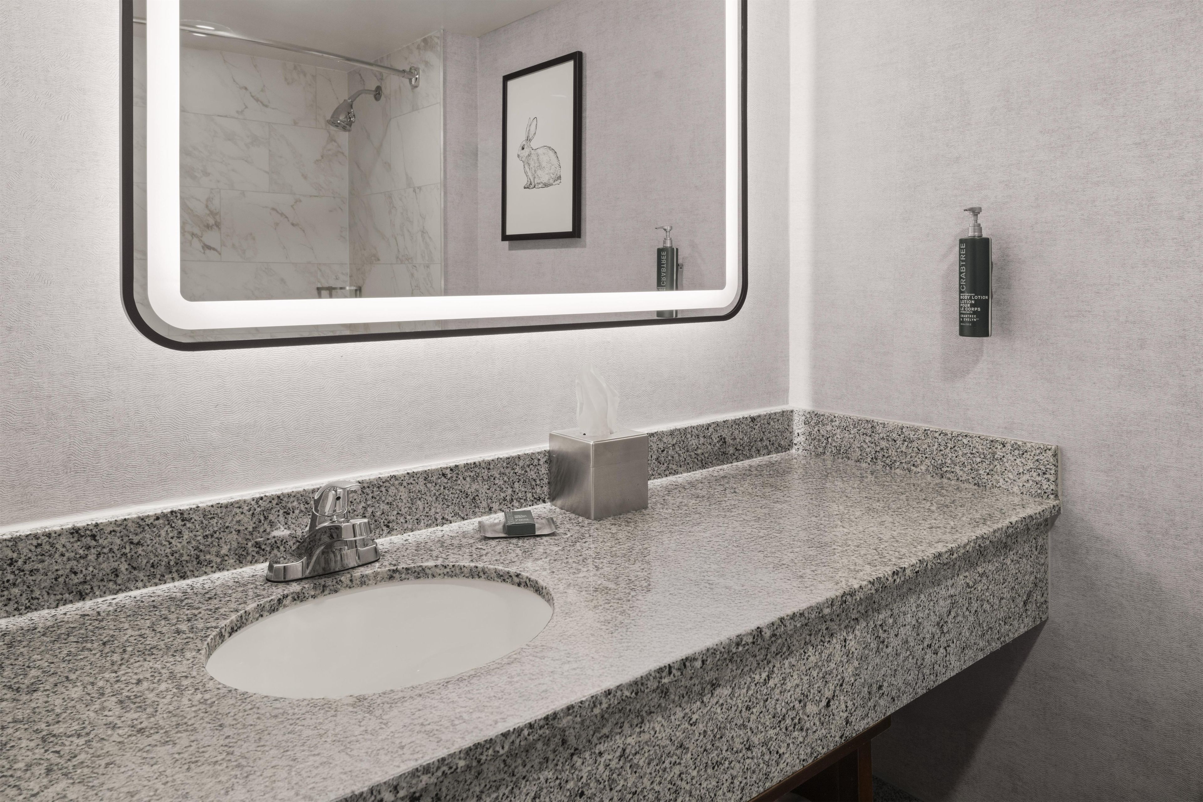 A bathroom with a granite countertop, a sink, a mirror, and a framed picture on the wall.