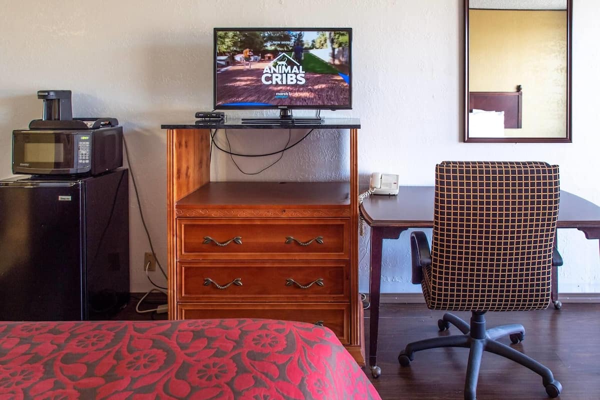 A hotel room with a television displaying 'Animal Cribs', a microwave, a wooden dresser with drawers, a patterned bedspread, and a chair.