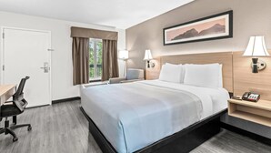Una camera d'albergo con un letto, una scrivania, una sedia e un quadro appeso al muro.